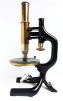 Reichert Mikroskop Nr. 53151 (1913)