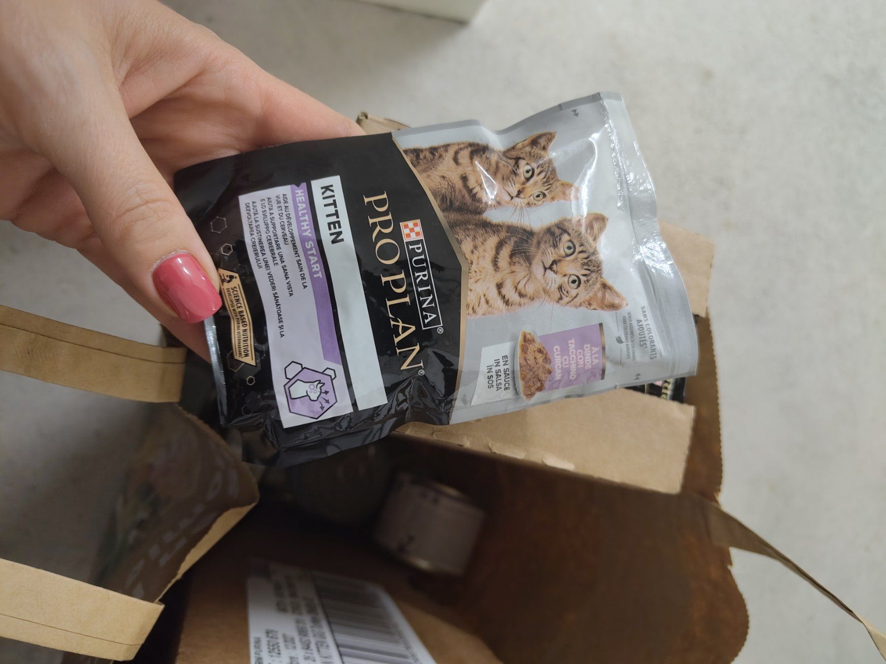 Futter: Katzenfutter (Kitten) Divers – Neu und originalverpackt aus Zürich von SteSa84 1
