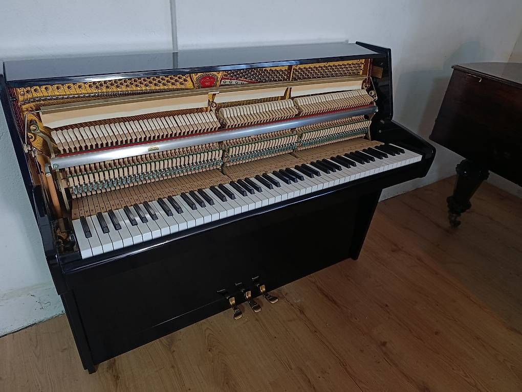 Strumenti musicali: Klavier Schimmel – Usato da Küttigen venduto da PianoSarbach 1