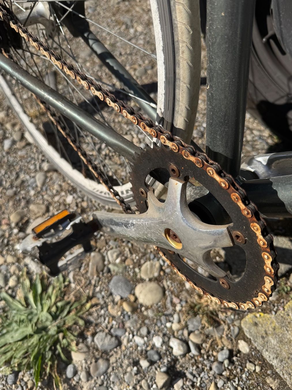 Vélos: Velo – D'occasion à Schlieren par Freundlich02 7