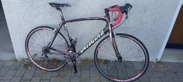 Specialized Tarmac Carbon Rennrad – Grösse 58 (XL)