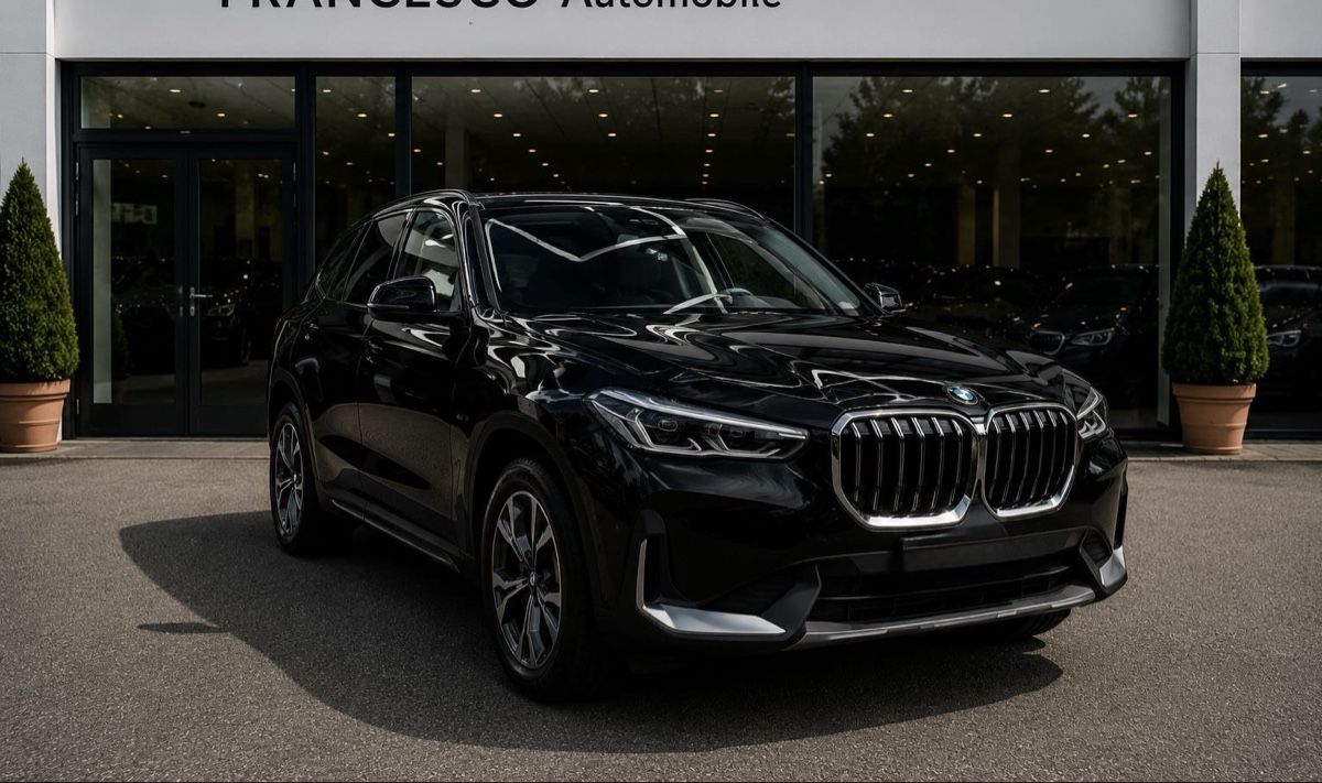 BMW Automobili: BMW X1 Mieten – Nuovo (secondo la descrizione) da Wallisellen venduto da arl_26kk