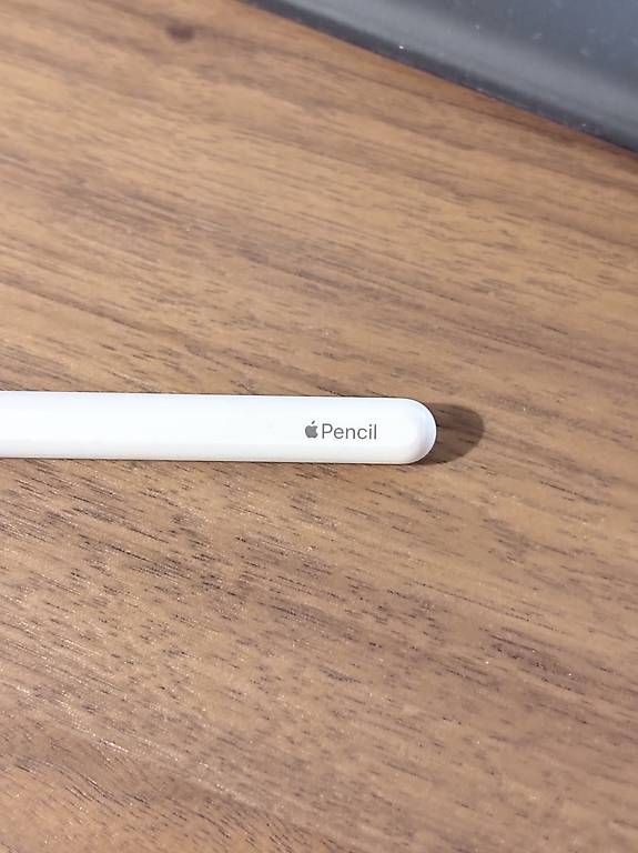 Apple Penna & Evidenziatori: Apple iPad Pencil – Usato da Zürich venduto da h4llo 2