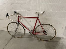 Rotes Rennvelo Gerber (Rahmengrösse 60)
