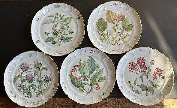Piatti: Assiettes à dessert – Usato da Courgenay venduto da hello152
