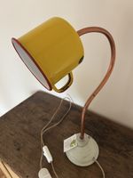 Eco-Design Lampe (Unikat)