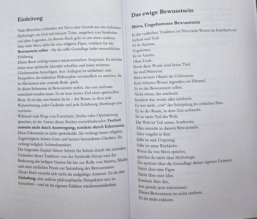 Libri: Shiva  Das formlose Bewusstsein / Taschenbuch – Nuovo e nell'imballaggio originale da Basel venduto da Shankar 4