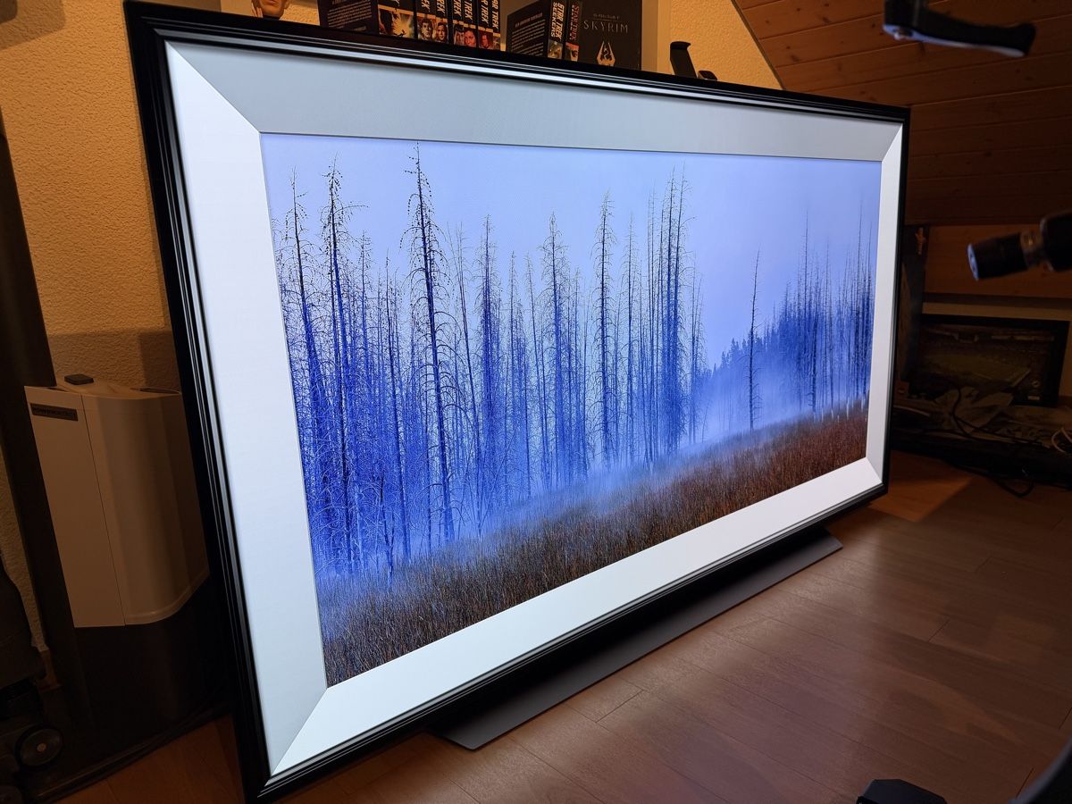 Televisori: LG OLED65CX6LA (2020) – Usato da Pfyn venduto da T0RL0C