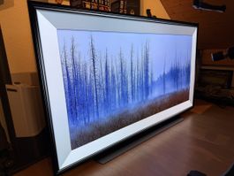 LG OLED65CX6LA (2020)