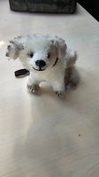 Gaby Schlotz Hund