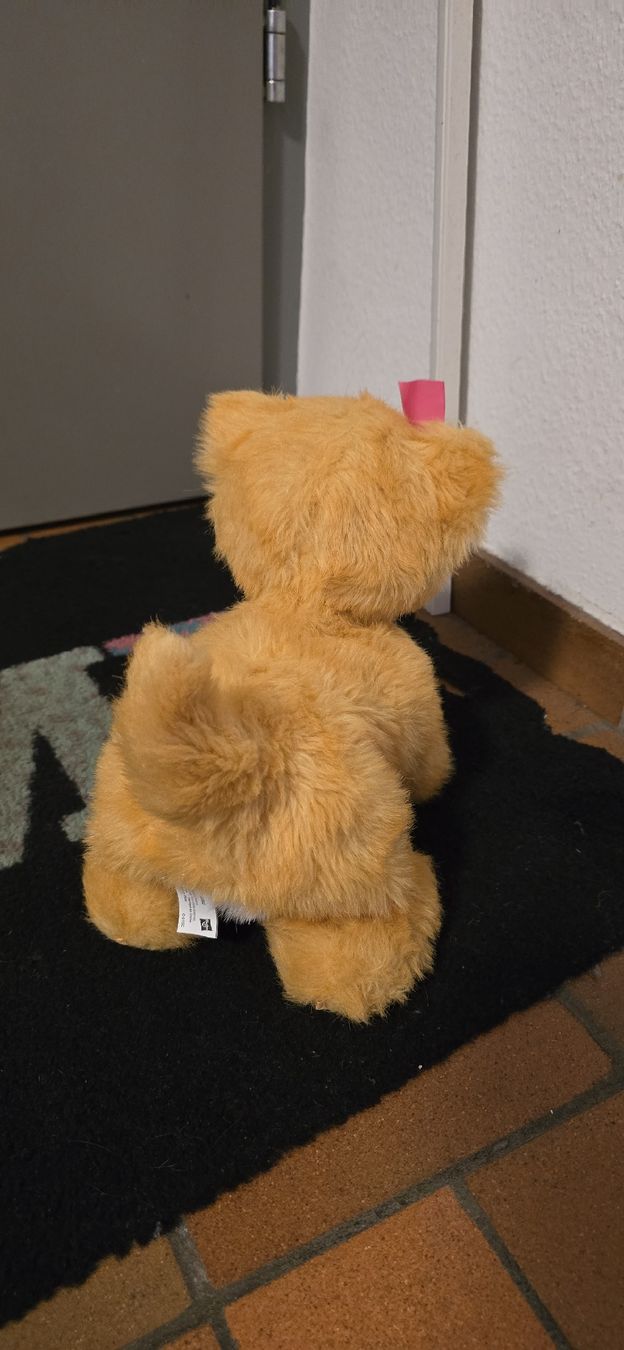 FurReal Jouets: FurReal Kätzchen "Daisy" – D'occasion à Basel par Nerea07 1
