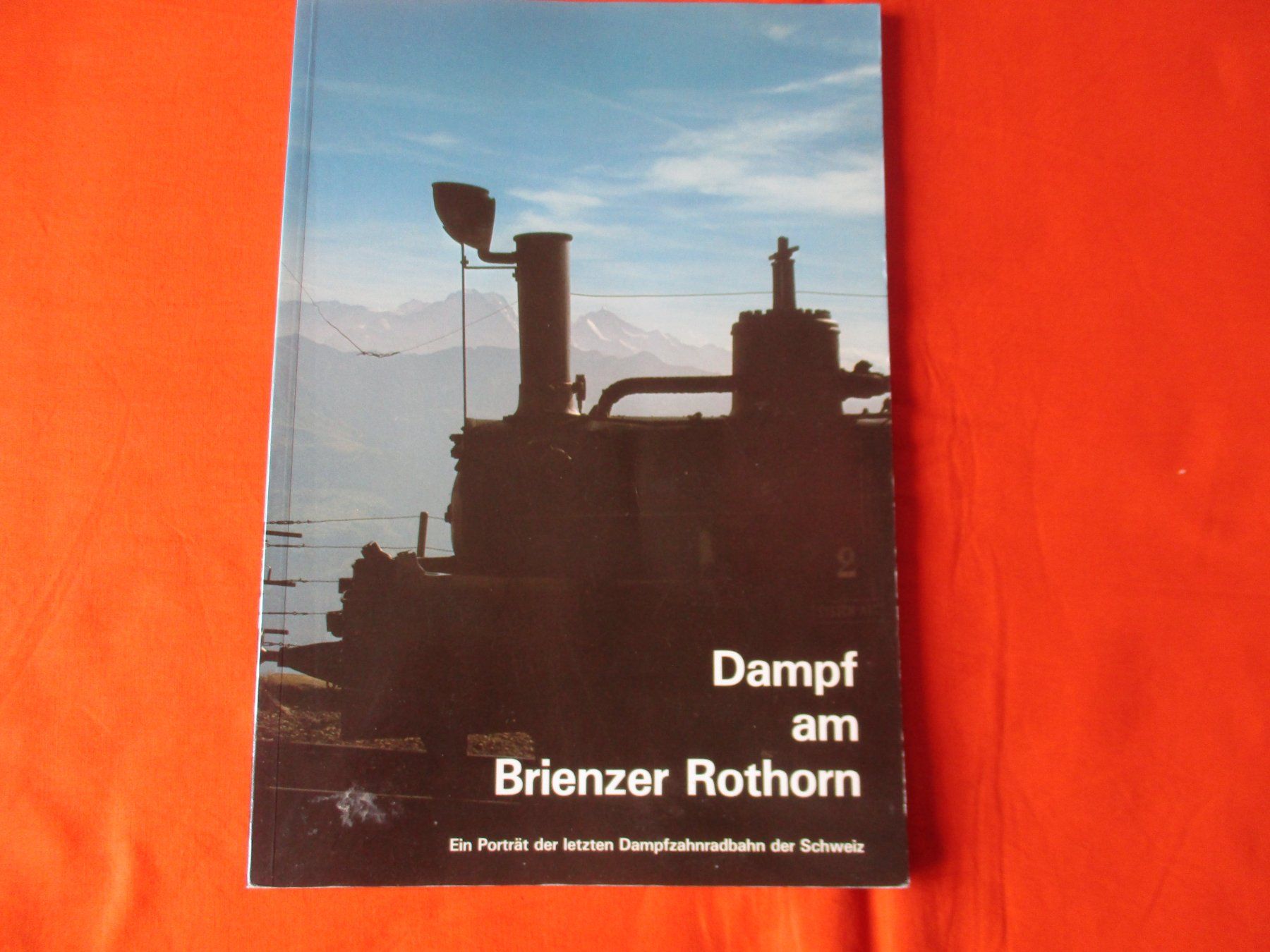 Libri: Buch Dampf am Brienzer Rothorn – Usato da Birsfelden venduto da alles-muss-raus