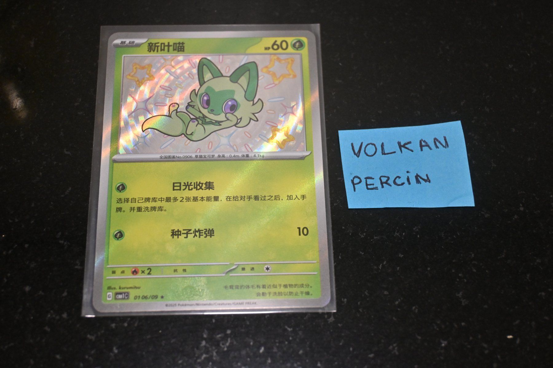 Pokémon Carte collezionabili: Poussacha (CBB1C 01) Chinese – Nuovo (secondo la descrizione) da Aigle venduto da PSAPOKEVOVO