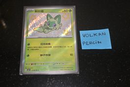 Poussacha (CBB1C 01) Chinese