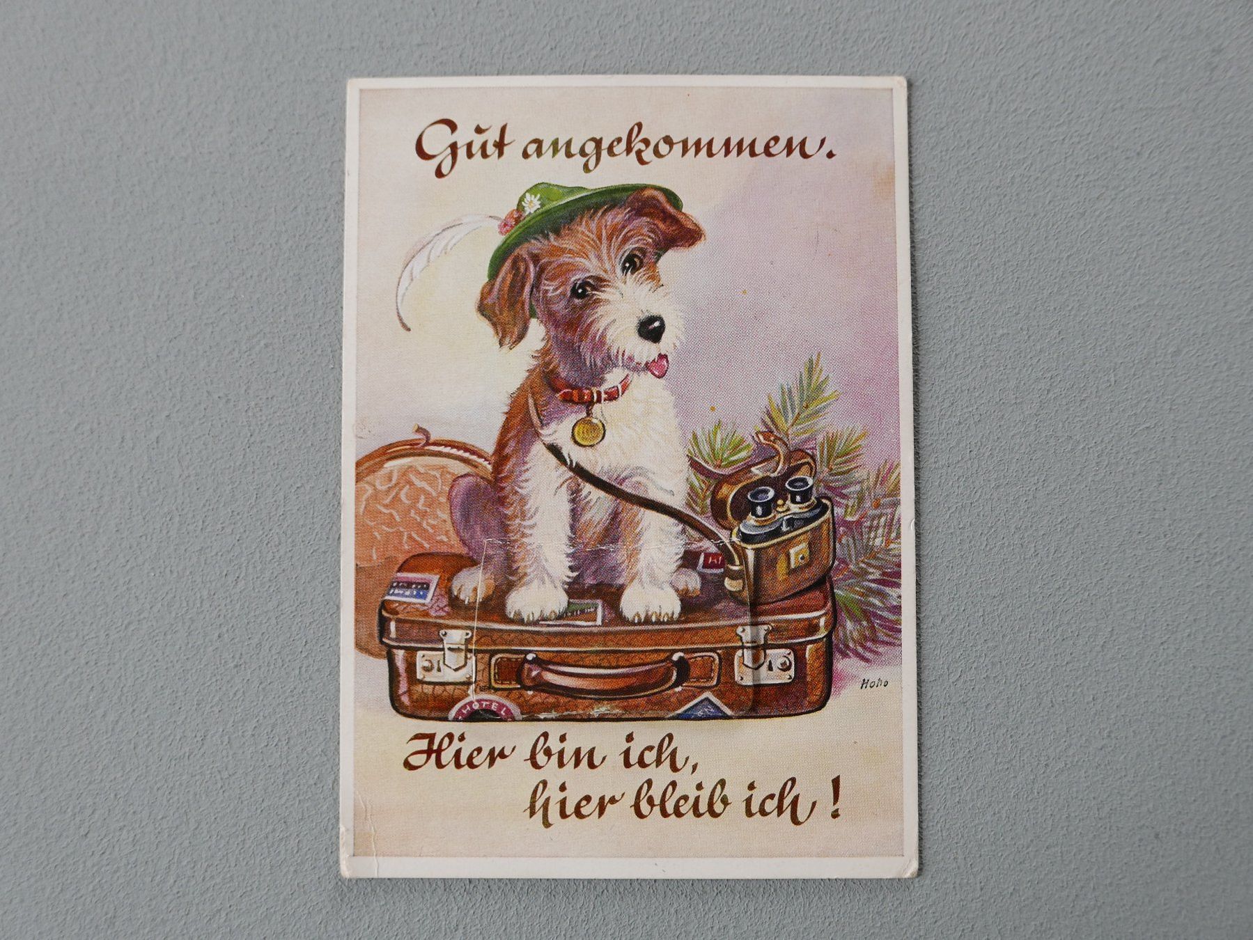 Cartoline postali: ANTIKE ANSICHTSKARTE MIT BILDERBOGEN GRUSS VOM BODENSEE – Usato da Balgach venduto da Zwischenraum 1