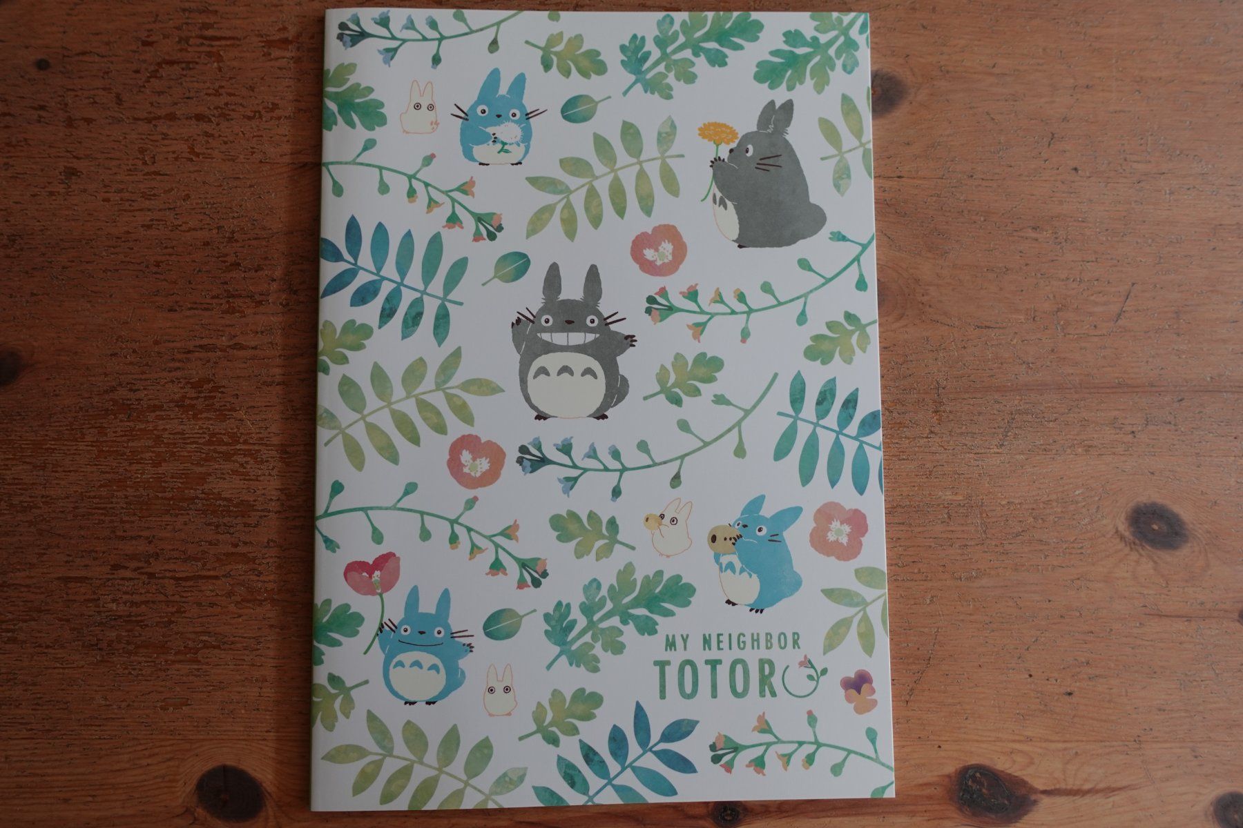 Blocchi: Ghibli Japan - Totoro Notebook Notizbuch B5 – Nuovo (secondo la descrizione) da Ettiswil venduto da maimaiswiss