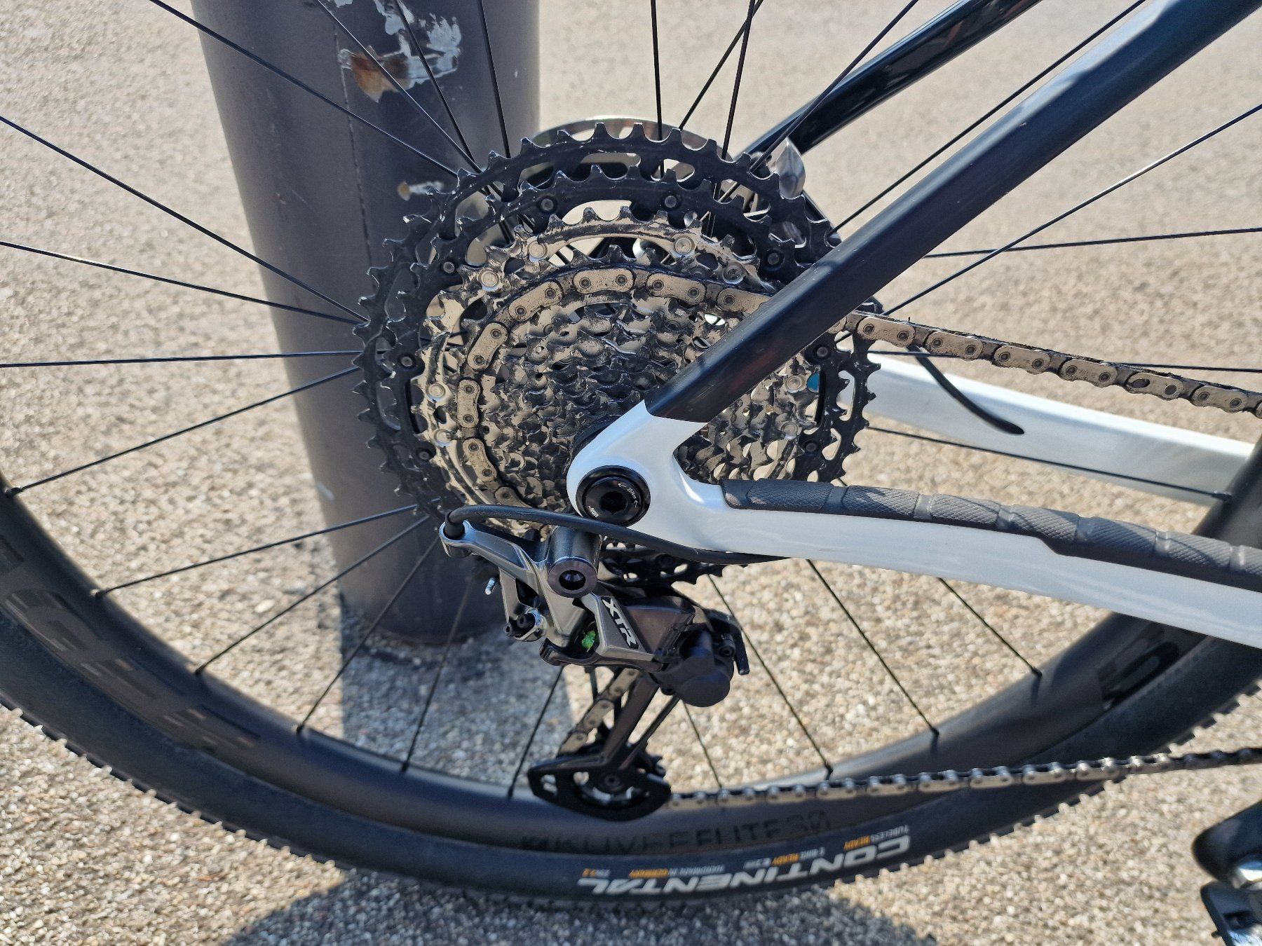 Trek Biciclette: Trek Procaliber 9.8 XC MTB mit Powermeter und XTR – Usato da Winterthur venduto da superior_quality 1