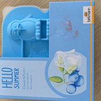 Birkmann Eiswürfelform "HELLO SUMMER" Frühlingsrolle
