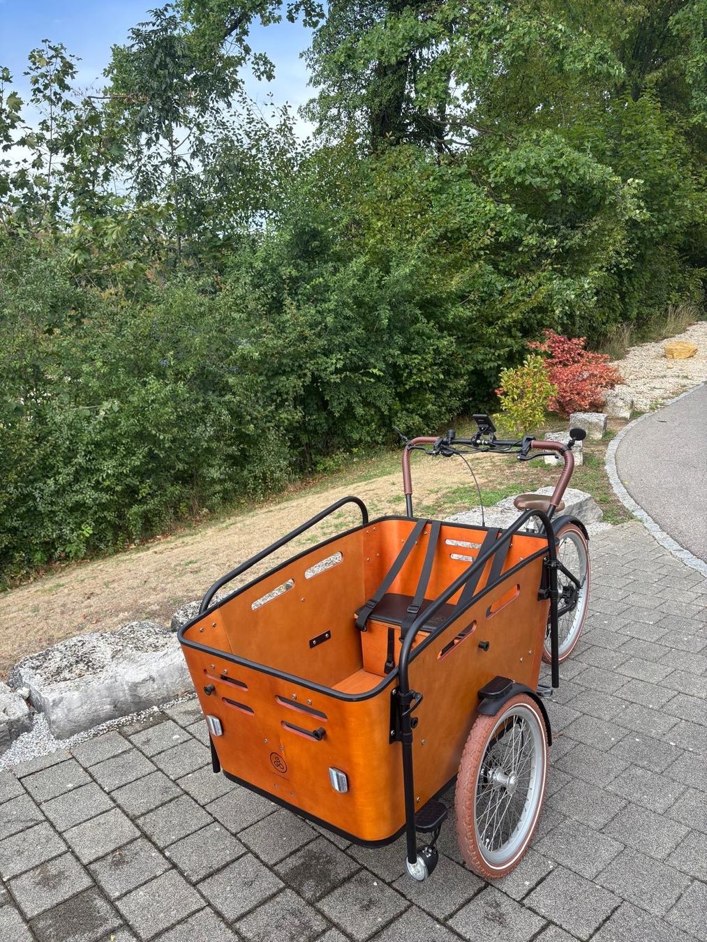 Ego Movement Biciclette: Cargobike EGO Movement Big Lebowski – Nuovo (secondo la descrizione) da Rupperswil venduto da Abcsale 6