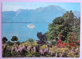 Vue sur le Lac Léman et le Grammont
