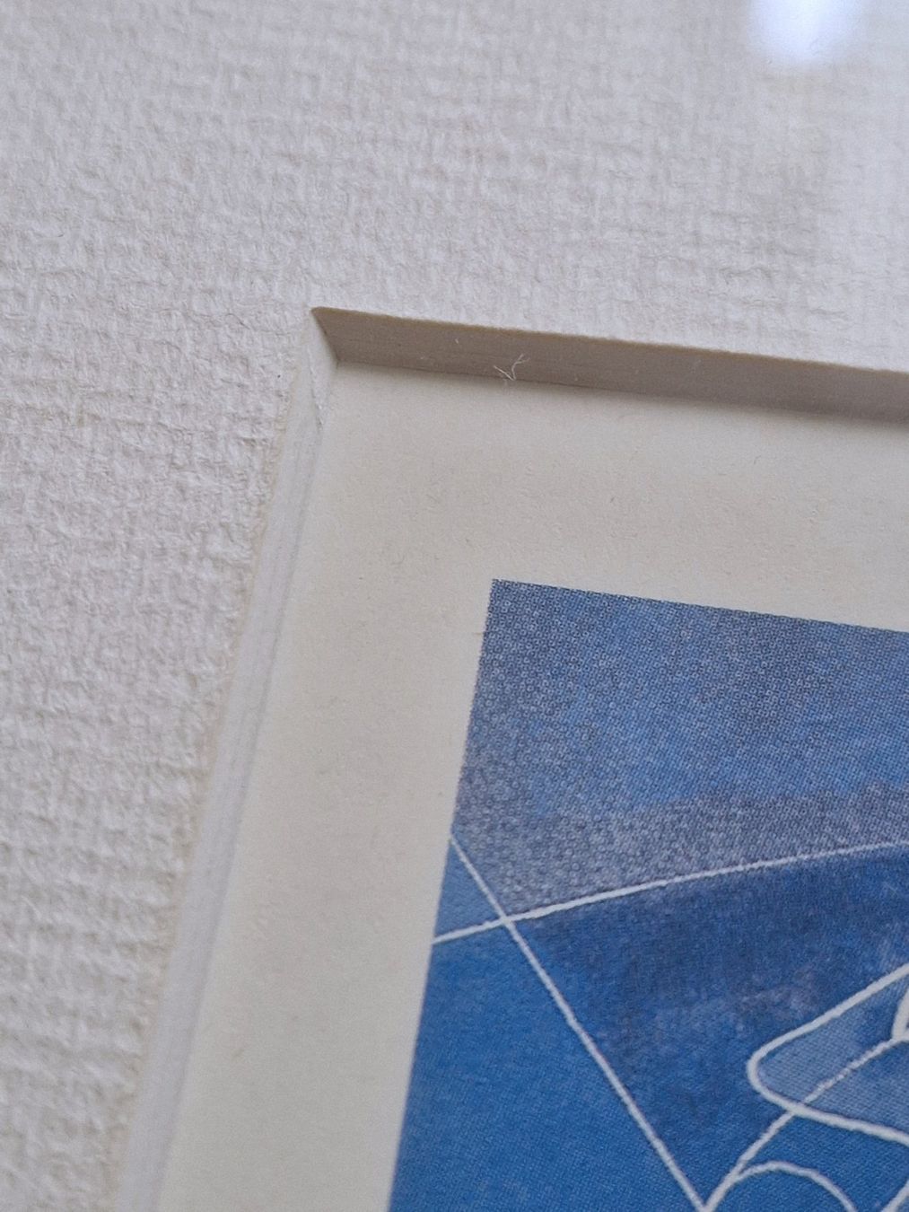 Grafiken & Lithographien: 2 Hans Erni Lithographien - perfekt gerahmt – Gebraucht aus Bern von belshnikel 6