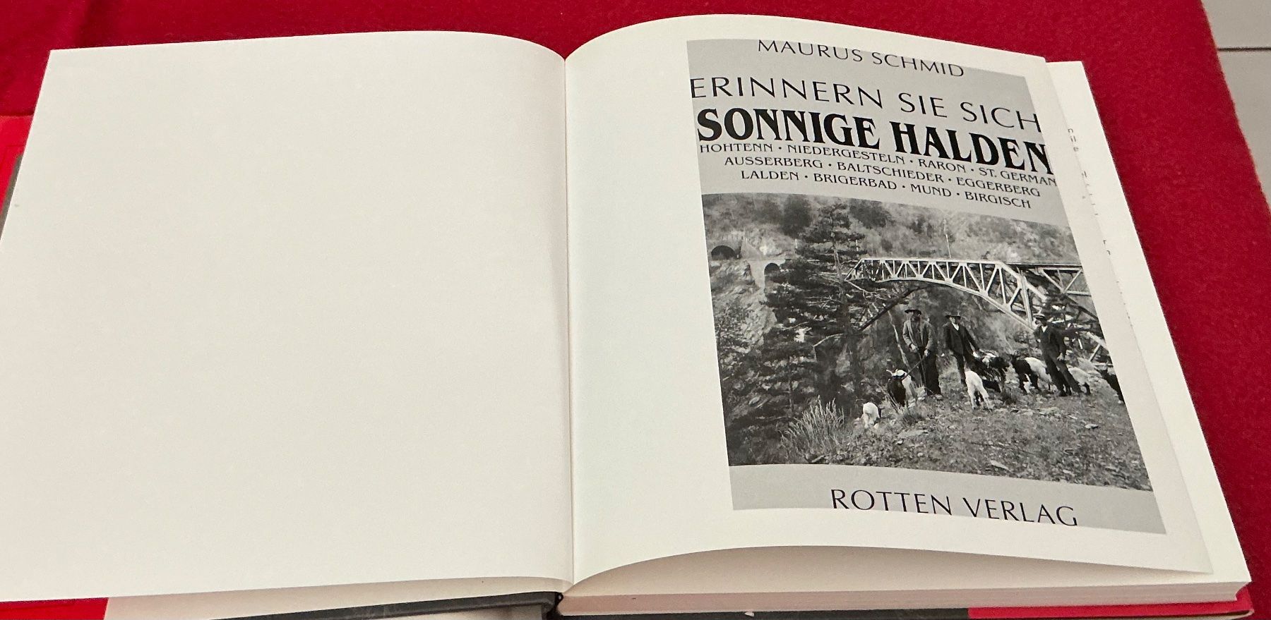Libri: Erinnern Sie Sich Sonnige Halden -Maurus Schmid – Usato da Crans-Montana venduto da plainemorte 1