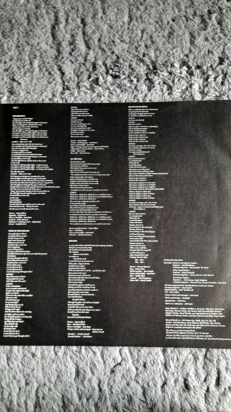 Schallplatten: KATE BUSH     THE DREAMING     LP      VINYL – Gebraucht aus Wetzikon ZH von  2