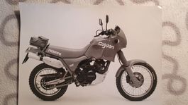 Photos MOTO MORINI