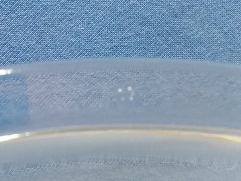 Verres: Türglas waschmaschine – D'occasion à Altendorf par Elenaneagu22 5