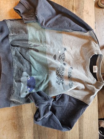 Hust&Claire Sweatshirt aus Bio-Baumwolle Gr. 122 cooler Prin
