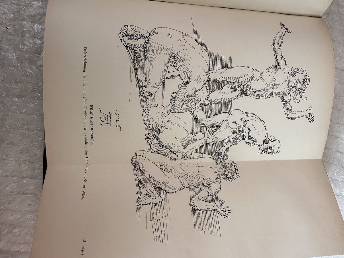 Libri: Vintage Dürer Buch – Usato da Herbriggen venduto da Sehrazade 4