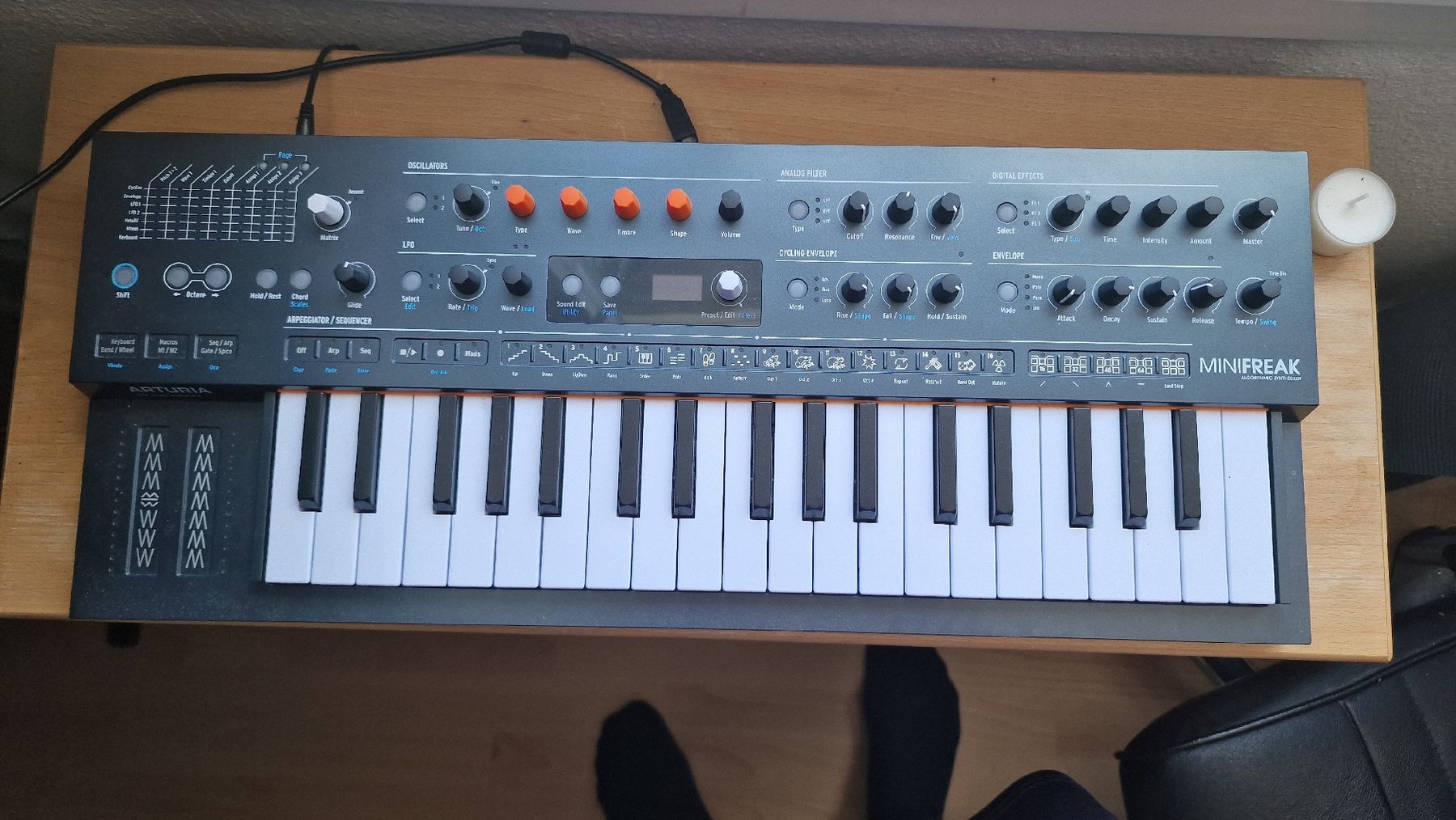 Arturia Strumenti musicali: Arturia Minifreak algorithmischer Synthesizer  – Nuovo (secondo la descrizione) da Bern venduto da mic_5fd9