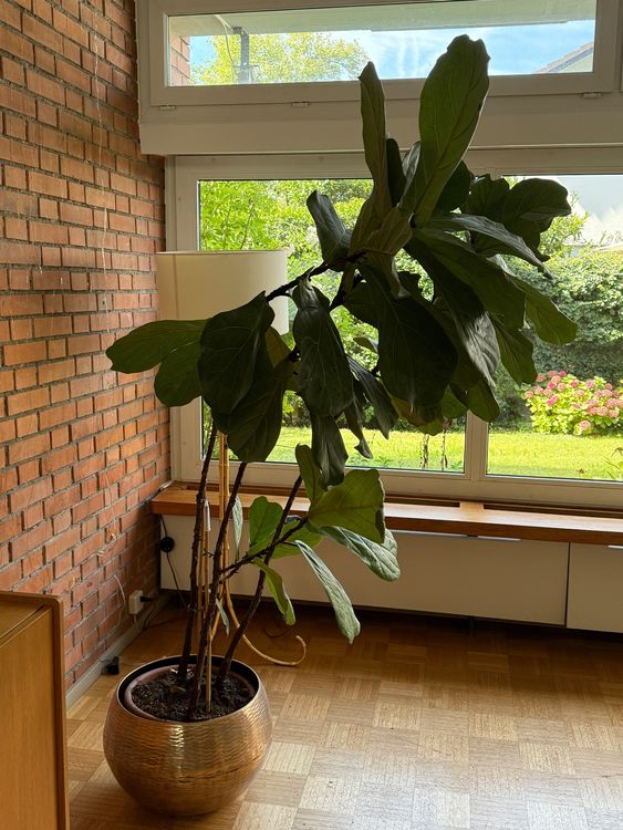 kunstpflanzen fr balkonksten Knstlicher Blumenkasten