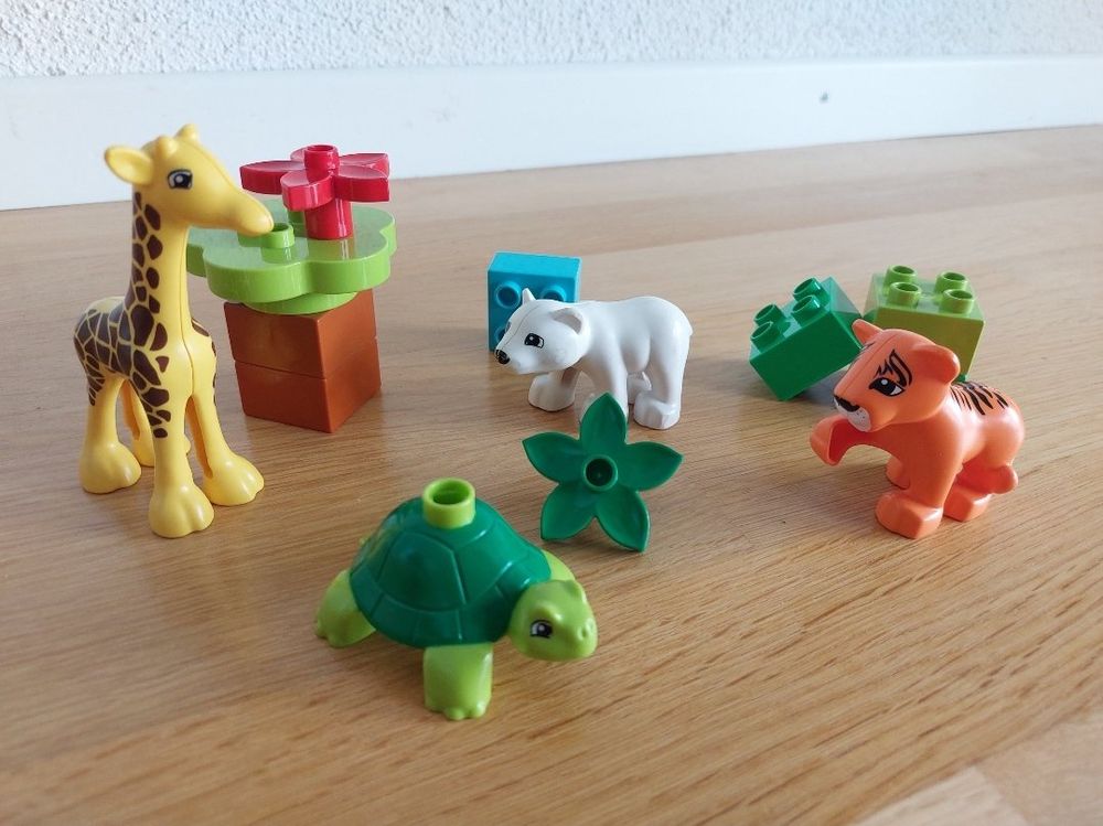 Duplo Jouets: LEGO Duplo 10801 Jungtiere (Zoo Tiere) – D'occasion à Balterswil par Steineparadies