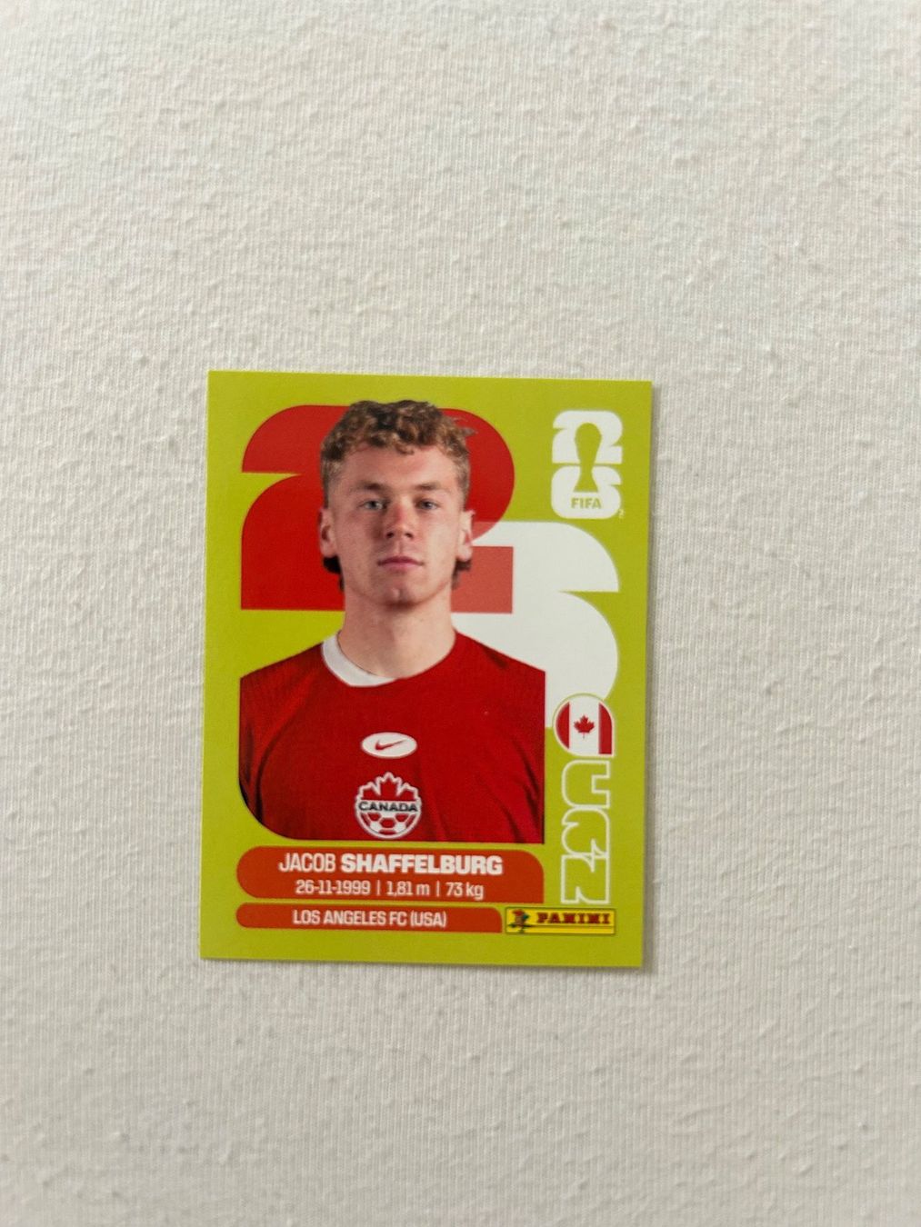 Panini Carte collezionabili: Panini CAN 14 – Usato da Steckborn venduto da DavidLM