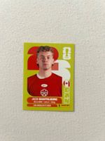 Panini CAN 14