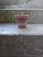 Tontopf klein Terracotta Ton Topf Setzlinge Shabby Boho