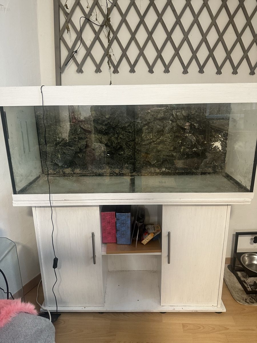 Acquari: Acquarium 240l – Usato da Chur venduto da giu_b76g 2