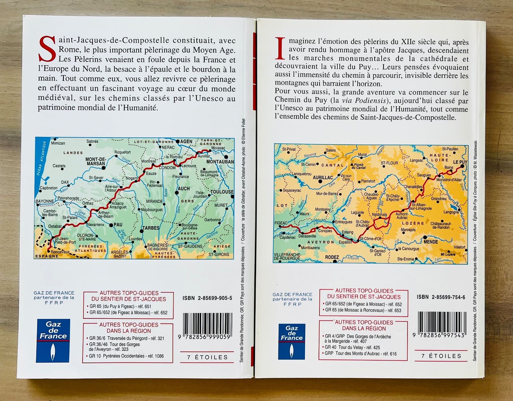 Libri: Topo-Guide Sentier de Saint-Jacques-de-Compostelle GR 65 ... – Usato da Endingen venduto da chocosweet 1