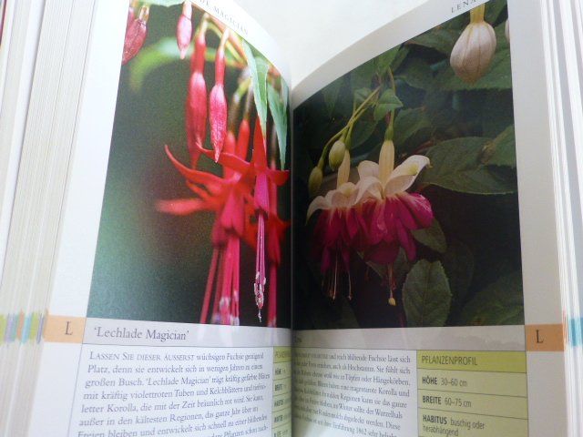 Libri: Fuchsien Pflanzenratgeber - Garten kompakt – Usato da Füllinsdorf venduto da Kapellie 5