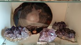 Ampia Collezione di Minerali e Fossili da Vetrina. 80+ Pezzi