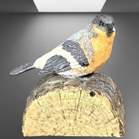 🎶🐥 Piepsalarm! Bewegungs-Vogel mit Stil! 🐦✨