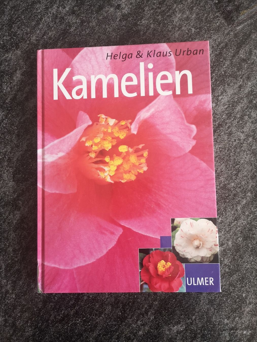 Libri: Kamelien Buch – Usato da Biel/Bienne venduto da Rosen21