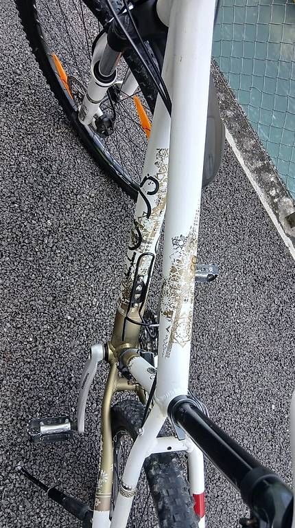 Scott Biciclette: Bike Scott 26 Zoll S – Usato da Buochs venduto da DODGEO11 2