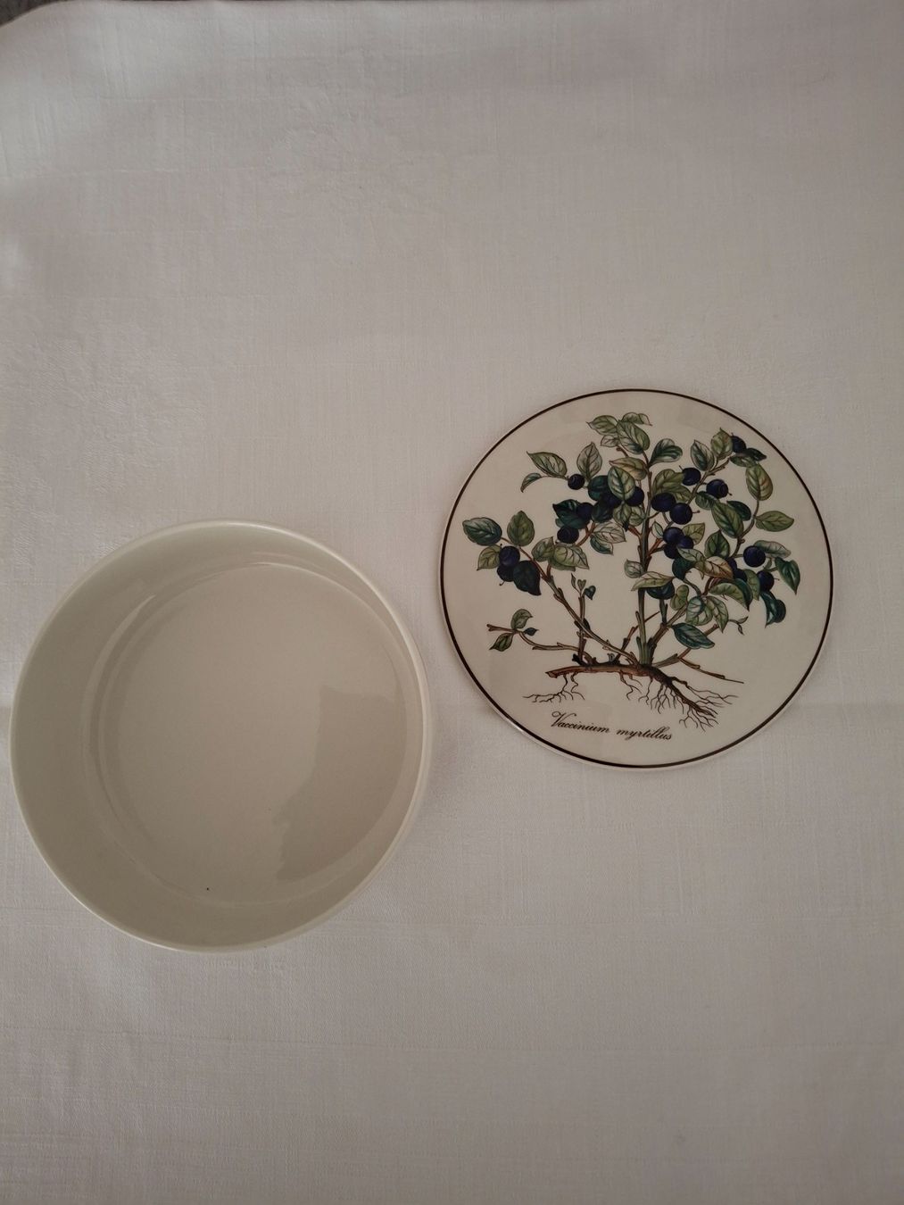 Villeroy & Boch Tutte le decorazioni: Villeroy & Boch Botanic Dose ,Top Zustand – Usato da St. Gallen venduto da ram_jb2y 1