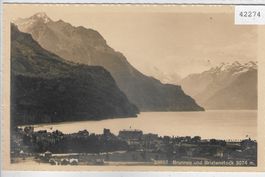 Brunnen und Bristenstock