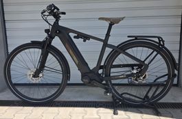 E-Bike Ibex clever & Smart eAvantgarde Neo Gates - 2019