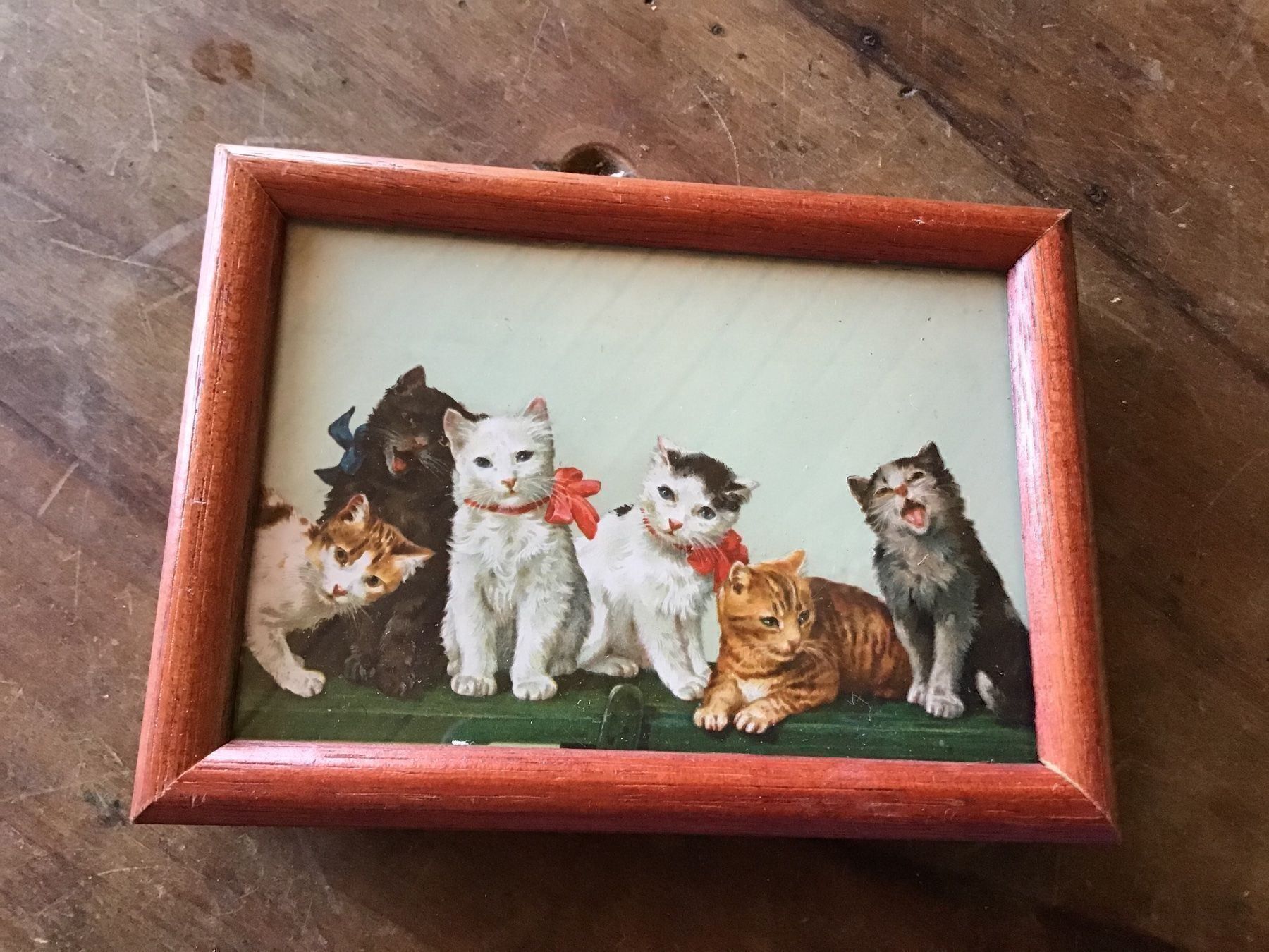 Foto & Immagini: Herziges kleines antikes Katzenbildli – Usato da St. Gallen venduto da Goldlilly 1