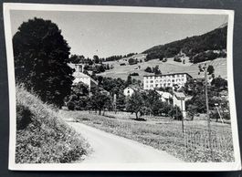 Seewis i. Prättigau /Hotel Kurhaus & Schloss/Fotokarte~1950