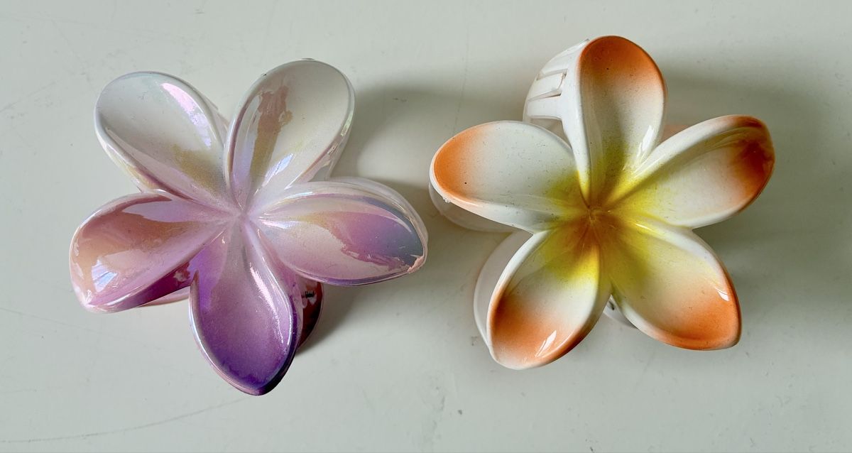 Accessori per capelli: Haarklammer Blume – Nuovo (secondo la descrizione) da Zollikon venduto da vivienneberger